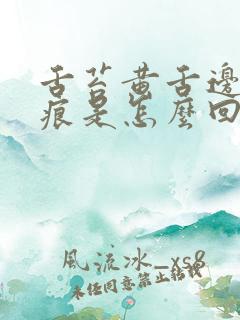 舌苔黄舌边有齿痕是怎么回事