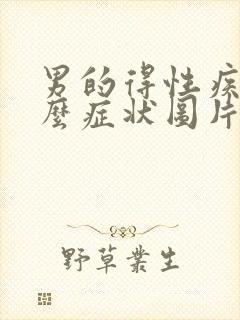 男的得性疾病什么症状图片有哪些