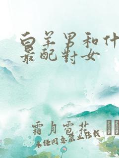 白羊男和什么座最配对女