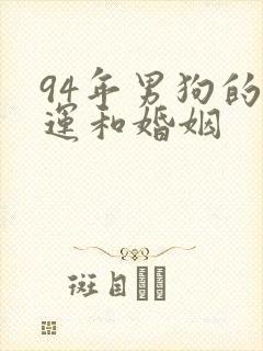 94年男狗的命运和婚姻
