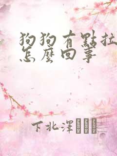 狗狗有点拉软便怎么回事