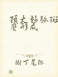 颈大动脉斑块怎么形成