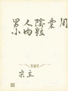 男人阴囊周围有小肉粒