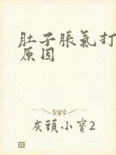 肚子胀气打嗝的原因