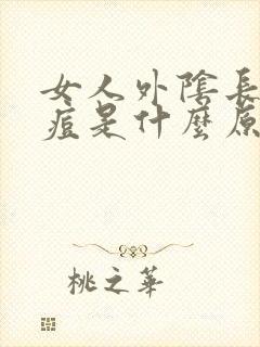 女人外阴长小痘痘是什么原因