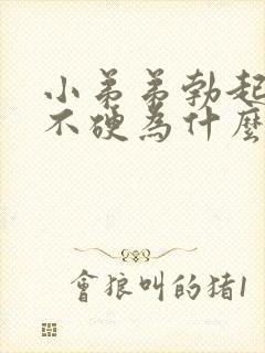 小弟弟勃起但是不硬为什么