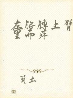 左胳膊上臂肌肉里面疼