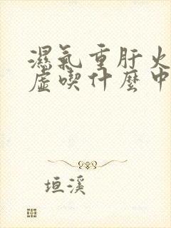 湿气重肝火旺脾虚吃什么中药