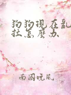 狗狗现在乱尿乱拉怎么办