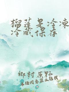 榴莲是冷冻还是冷藏保存