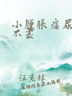 小腹胀痛尿频尿不尽