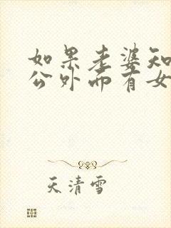 如果老婆知道老公外面有女人怎么办