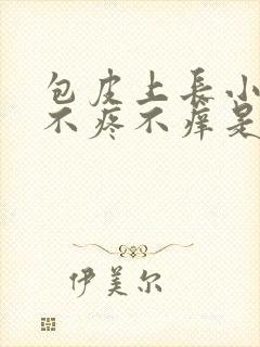 包皮上长小疙瘩不疼不痒是怎么回事