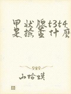 甲状腺t3t4是检查什么