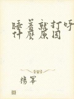 睡着就打呼噜是什么原因