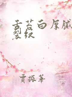 舌苔白厚腻中竖裂纹