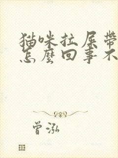 猫咪拉屎带血是怎么回事不拉稀