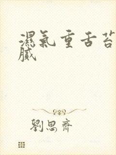 湿气重舌苔白厚腻