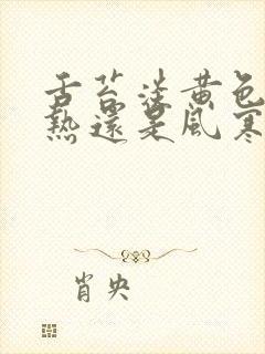 舌苔淡黄色是风热还是风寒