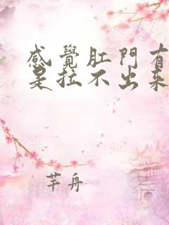 感觉肛门有屎就是拉不出来