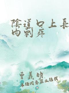 阴道口上长了个肉刺疼