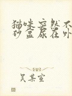 猫咪突然不去猫砂盆尿在外面