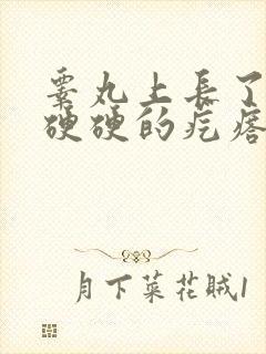 睾丸上长了一个硬硬的疙瘩