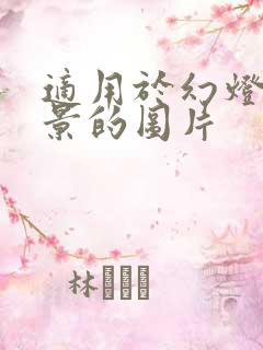 适用于幻灯片背景的图片