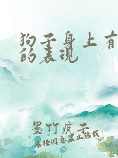 狗子身上有蜱虫的表现