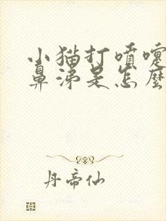 小猫打喷嚏流黄鼻涕是怎么回事