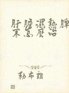 肝胆湿热脾胃湿寒怎么治