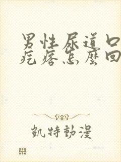 男性尿道口起小疙瘩怎么回事