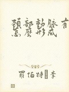 颈部动脉有斑块怎么形成