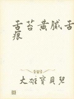 舌苔黄腻舌边齿痕