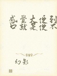 感觉大便到肛门口就是便不出来啥原因