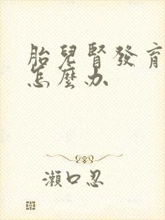 胎儿肾发育不良怎么办