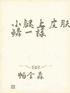 小腿上皮肤像鱼鳞一样