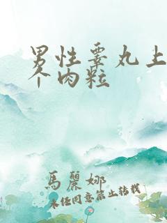 男性睾丸上长了个肉粒