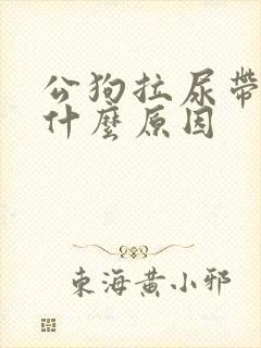 公狗拉尿带血是什么原因