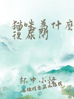 猫咪为什么会反复尿闭