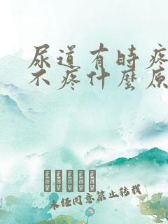 尿道有时疼有时不疼什么原因