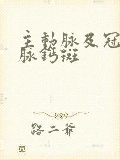 主动脉及冠状动脉钙斑