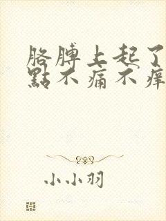 胳膊上起了小红点不痛不痒