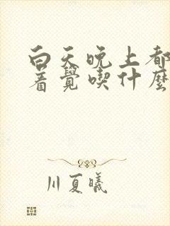 白天晚上都睡不着觉吃什么药