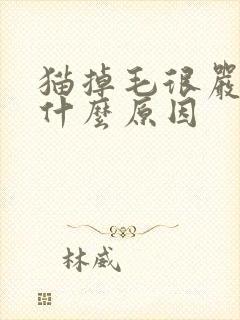 猫掉毛很严重是什么原因