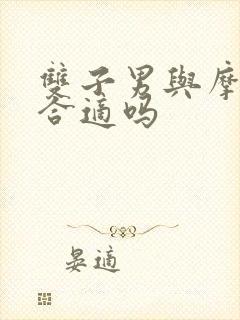 双子男与摩羯女合适吗