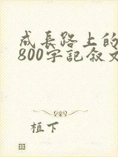 成长路上的温暖800字记叙文