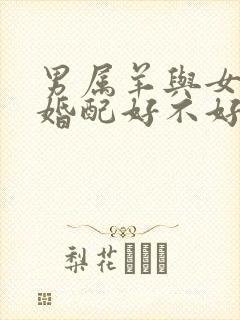 男属羊与女属狗婚配好不好