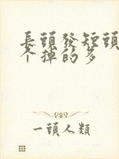 长头发短头发哪个掉的多