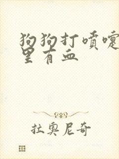 狗狗打喷嚏鼻涕里有血